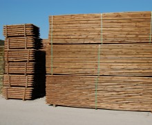 DSC_8651 DSC_8651