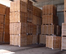 IMG8766