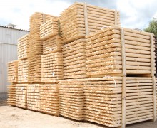 IMG9149 IMG9149