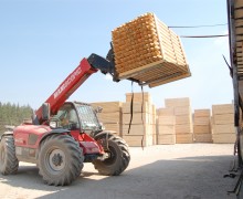 IMG9624 IMG9624